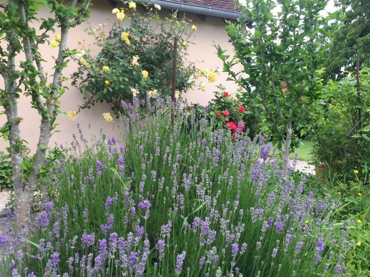 Chantilly ,Petit Dejeuner Et Table D'Hotes Possible Noyers  外观 照片